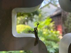 -杭州西子湖四季酒店-WL BISTRO西湖餐厅(灵隐路店)