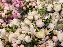 -循礼门鲜花花市(武汉循礼门店)