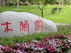 -上海滨江森林公园