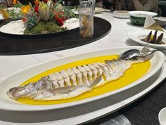 鸡汁大白鱼-食悦江南·淮扬菜·烤鸭(亚运村·惠新店)
