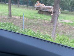 -秦皇岛野生动物园