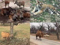 -西安秦岭野生动物园