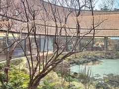 -雪绿茶博物馆