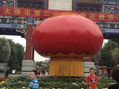 iphone_upload_pic-迎泽公园