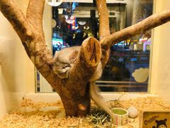 -龙猫仔乐园(惠福东路店)