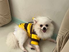 -怪兽屋·羊驼·猫咖·狗咖(俊华广场店)