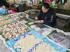 -西双版纳集贸市场