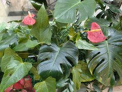 -比格比萨自助(万柳华联店)