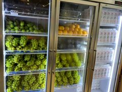 -雾与山茶(大禹城店)