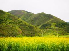 -苏木山森林公园