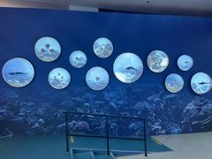 -上海中国航海博物馆