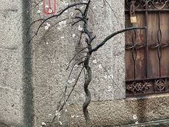 -山塘街