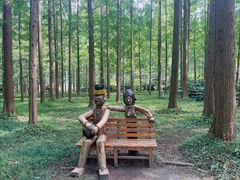 -黄海国家森林公园