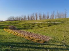 -瀛海足球主题公园