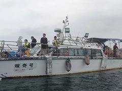 -深圳海钓·深圳钓鱼·拓展聚会鱼排