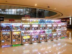 -宝龙城(杭州滨江店)