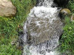 -武汉紫薇都市田园