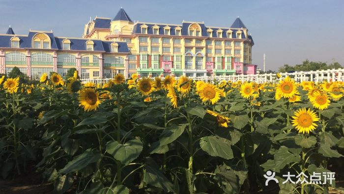 广州花之恋城堡酒店图片