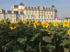 -广州花之恋城堡酒店