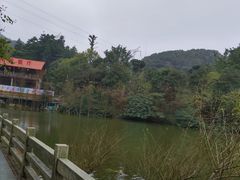 -广州市帽峰山景区