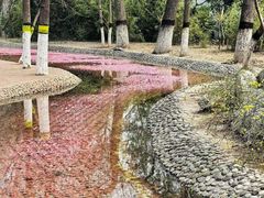 -桃花堤公园