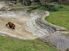 -黔灵山公园