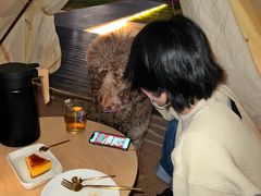 -一尺花园(安和花园店)