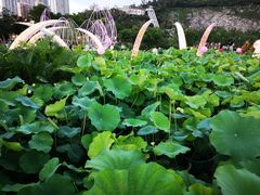 -龙环葡韵住宅式博物馆