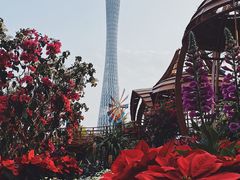 -海心沙亚运公园