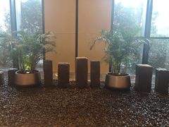 -长沙富力万达文华酒店