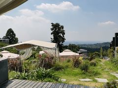 -云里小坐·小院里·团建·宴请·下午茶(三圣乡店)