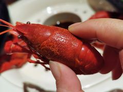 -虾满堂(瑞虹店)