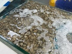 -养牛邓·潮汕牛肉海鲜自助火锅(广州店)