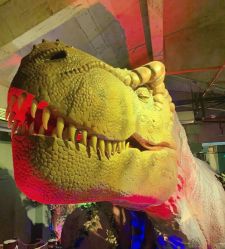 -恐龙探索乐园(磁器口店)