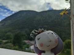 -黑龙潭公园