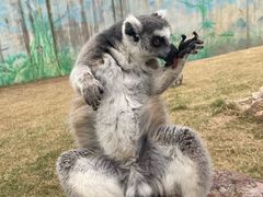 -无锡动物园·太湖欢乐园