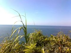 -西涌国际滨海旅游区