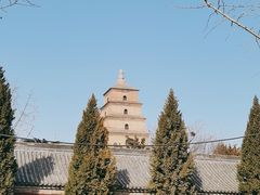 -大慈恩寺(大雁塔)
