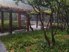 -徐家汇源景区-衡山公园