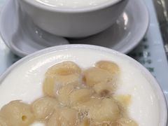 -义顺牛奶公司(新马路老店)
