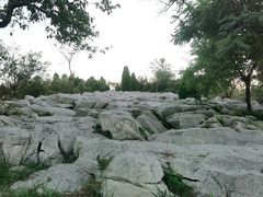 -原山国家森林公园