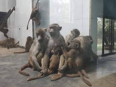 -西安秦岭野生动物园