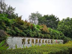 -重庆彩云湖湿地公园