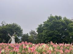 -玫瑰海岸文化旅游度假区