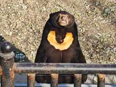 -石家庄市动物园