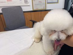 -瑞派雷欧宠物医院·中兽医·眼科·急重症转诊中心(黄台店)