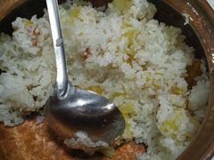 -七采菌园·石锅鱼野生菌火锅(环城北路店)