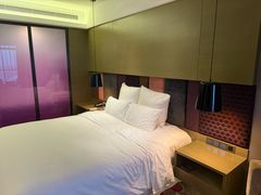 -南京禄口机场雅高铂尔曼大酒店