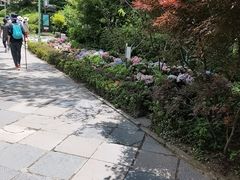 -庐山风景区花径公园