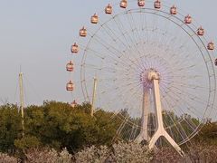 -东湖磨山景区